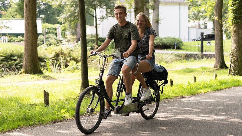 Activiteit / Dagje weg Tandemtocht op de Veluwe