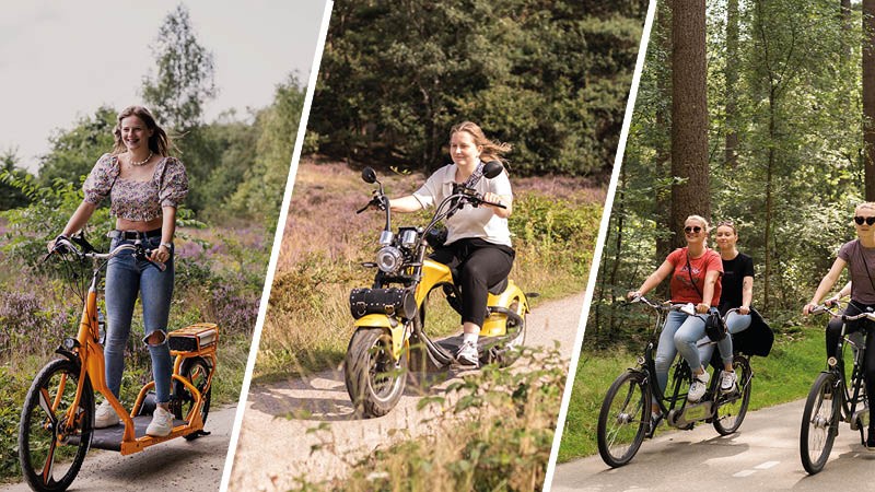 Activiteit / Dagje weg  op de Veluwe