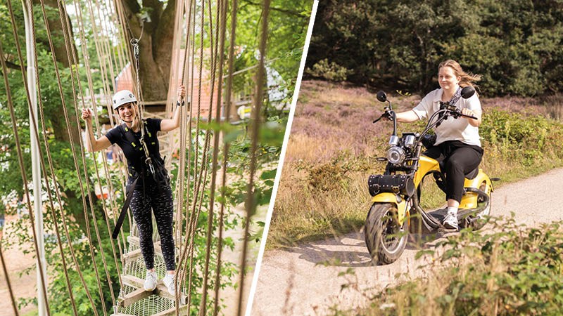 Activiteit / Dagje weg  op de Veluwe